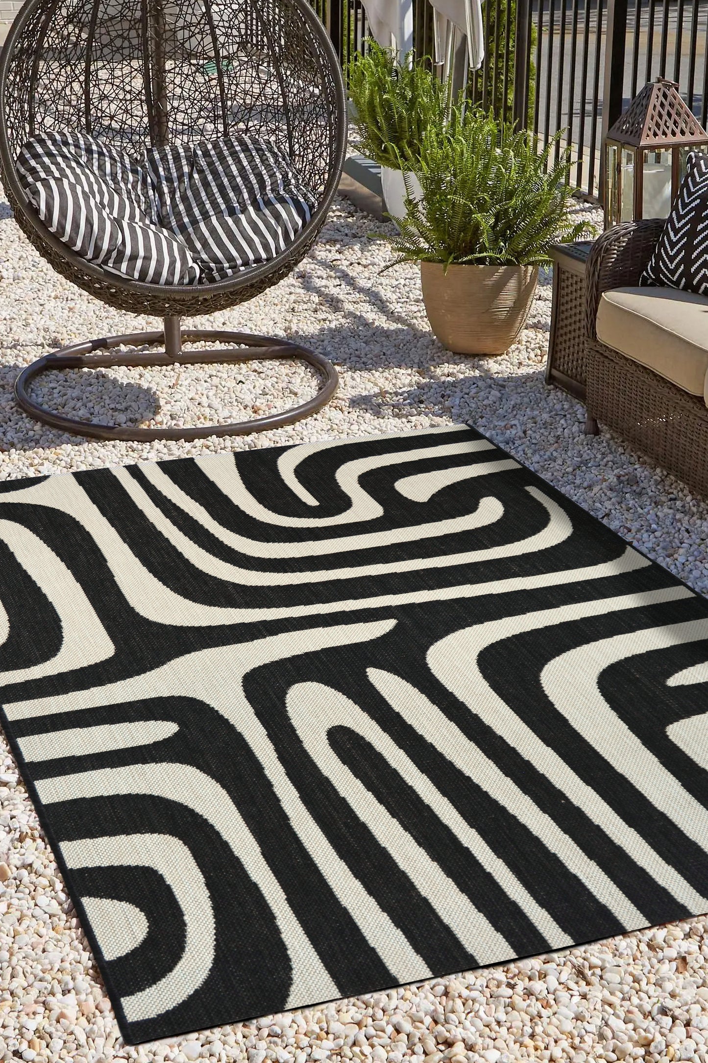 COUNTY ZEBRA BLACK