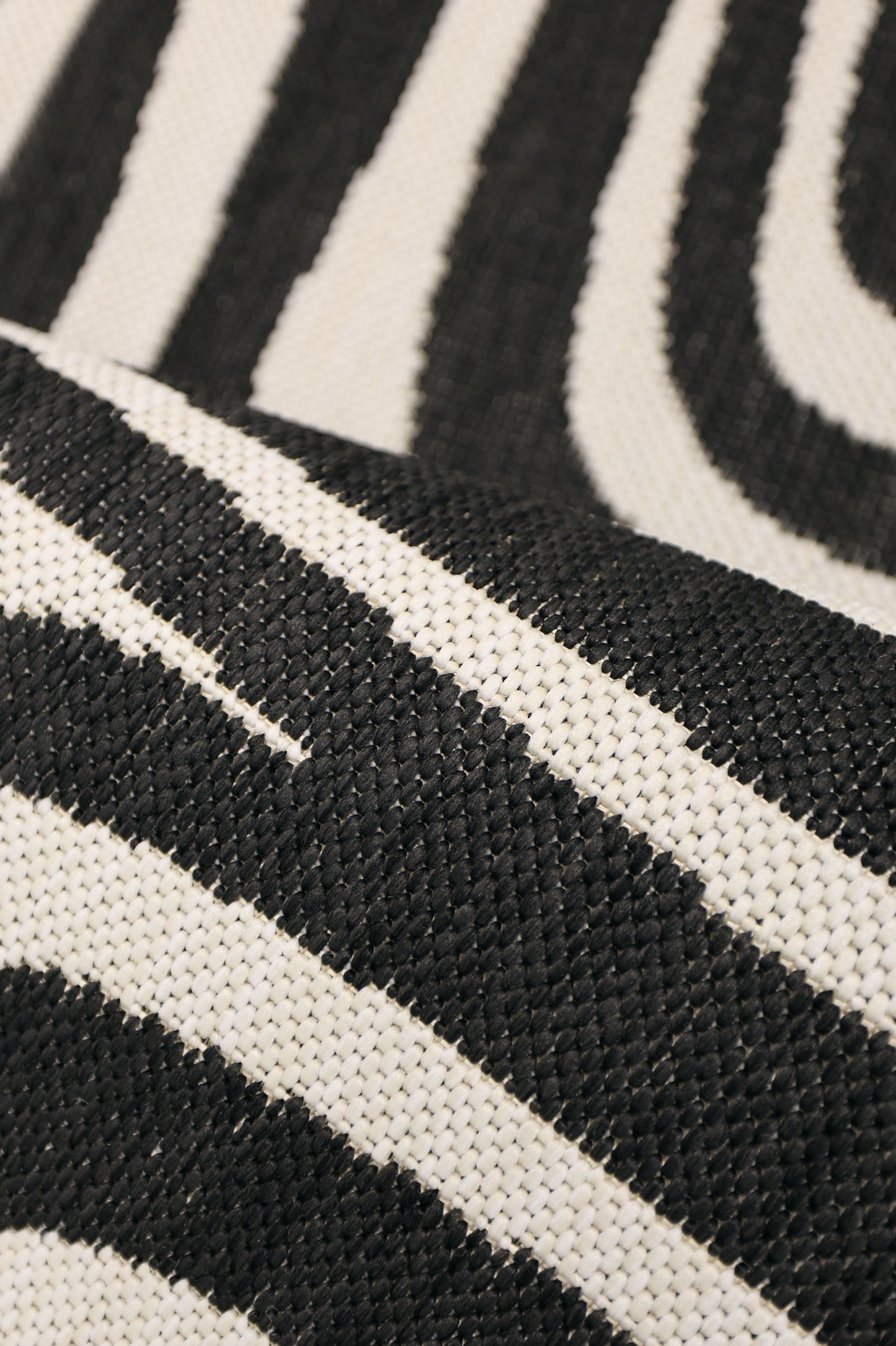 COUNTY ZEBRA BLACK